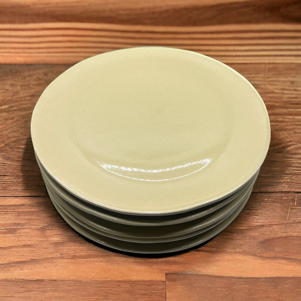 Pottery Barn Studio Putty Dinner Plates Set Barbara Eigen Dining Dishes Lot Of 5
